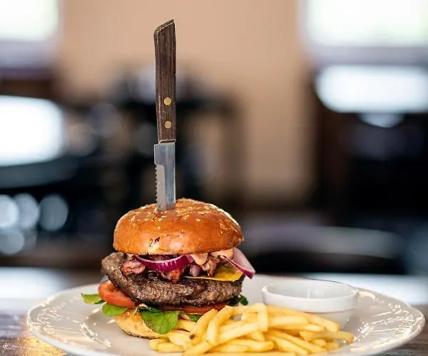 فندق U Cisare 3*